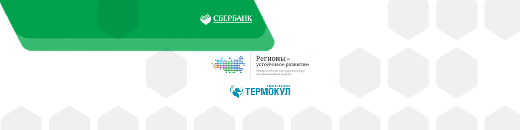 Совместный корпоративный продукт Конкурса «Регионы-устойчивое развитие» и ООО «Термокул»